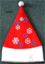 HH029